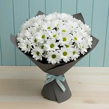 Букет цветов из:  Хризантемы в Городищи