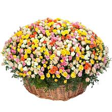 Премиум букет из: Розы #REPLACE_PRED# Городищи
