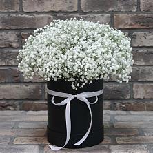 Цветочная композиция из Гипсофила в шляпной коробке в Городищи