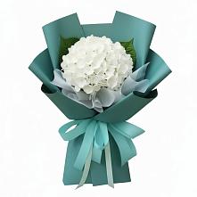Букет цветов из:  Гортензия в Городищи